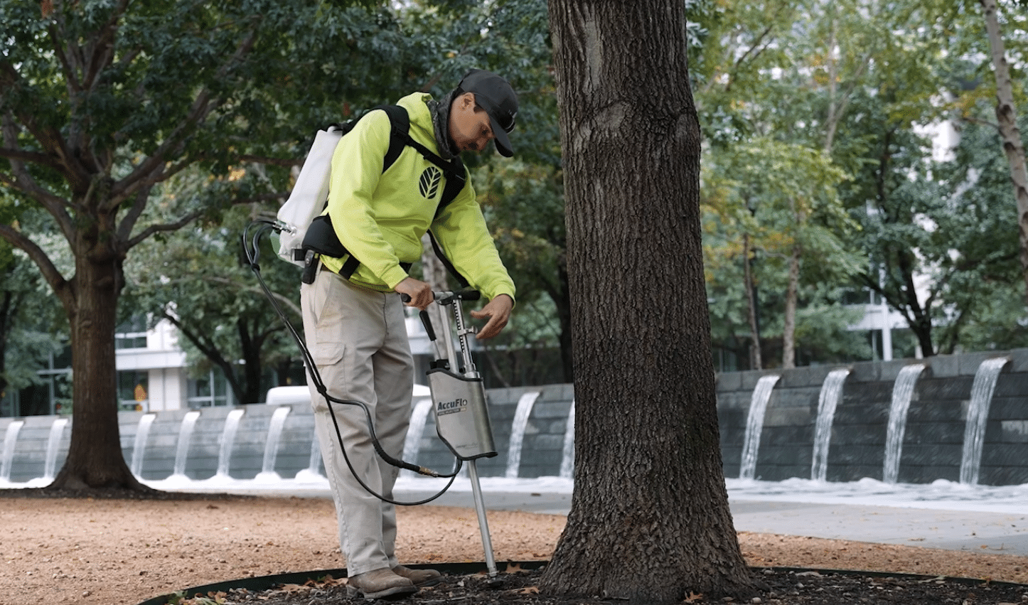 Tree Health Care by Certified Arborists at Southern Botanical