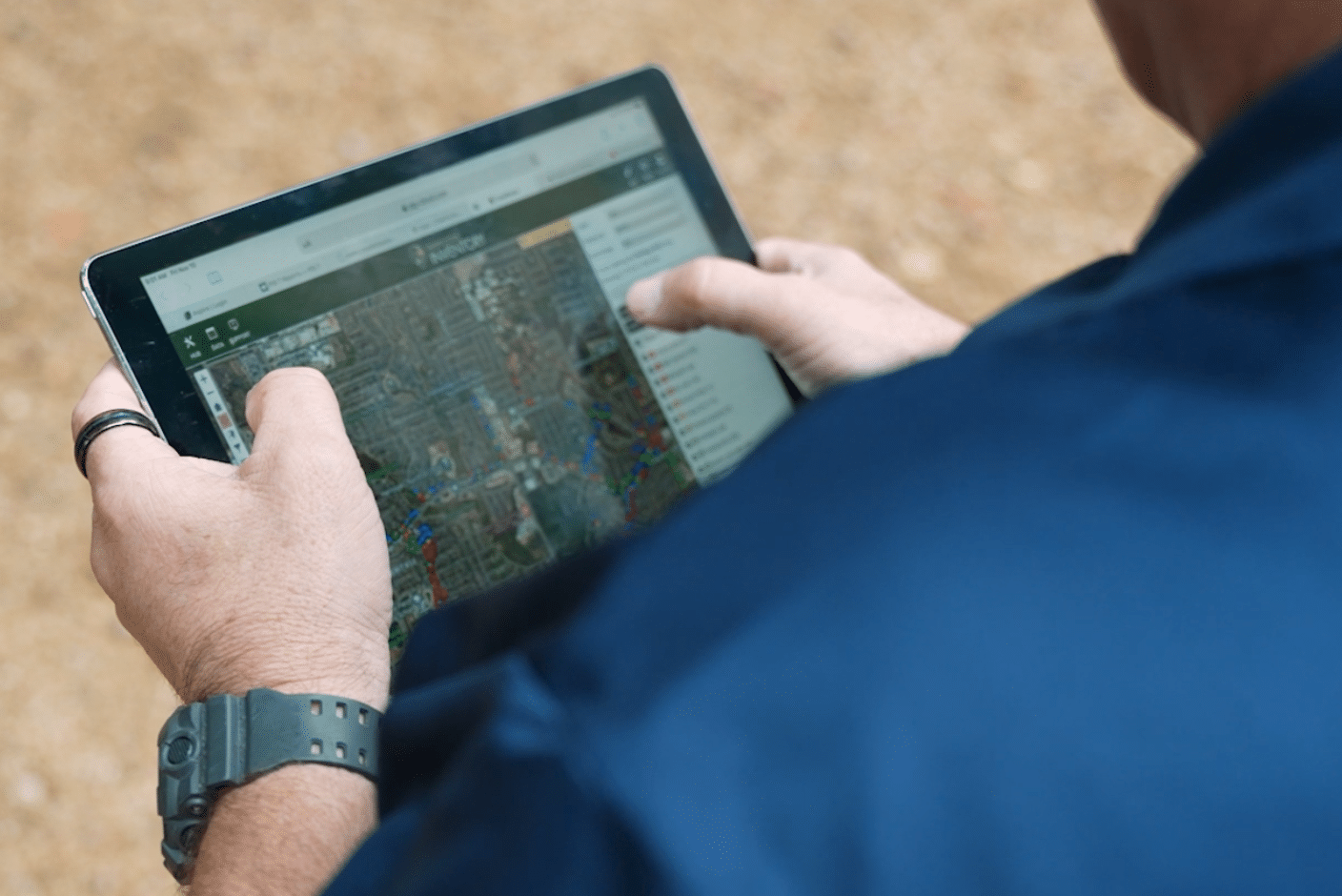 Digital Tree Inventory Reports by ISA Certified Arborists