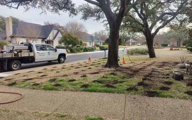 Vertical Mulching Tree Services by Southern Botanical