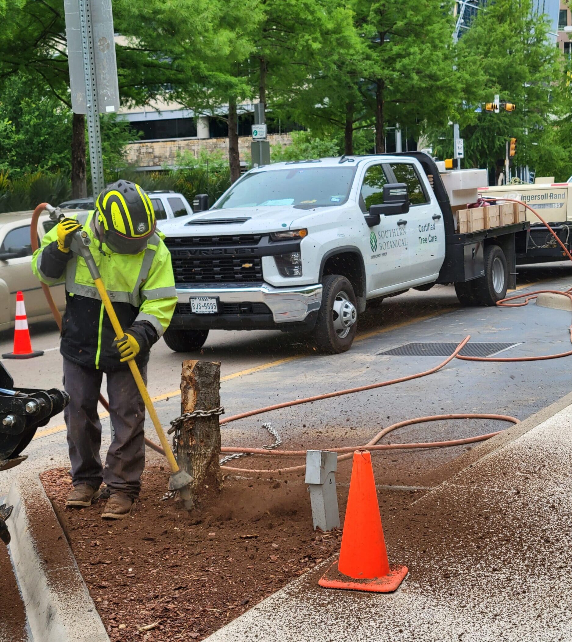 Southern Botanical | Tree Removal