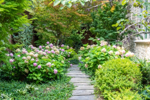 Southern Botanical | Residential Landscaping
