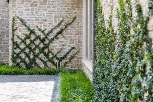 Residential Landscape Design | Southern Botanical