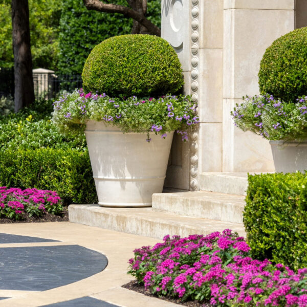 Urns and seasonal flowers by Southern Botanical Landscaping