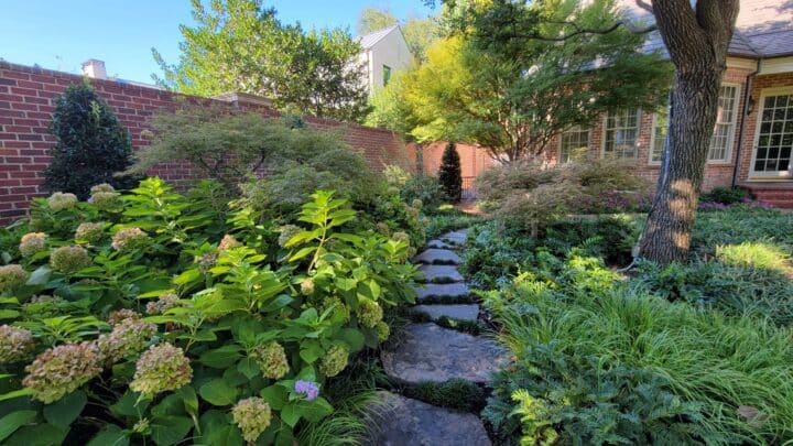 Residential Irrigation | Southern Botanical