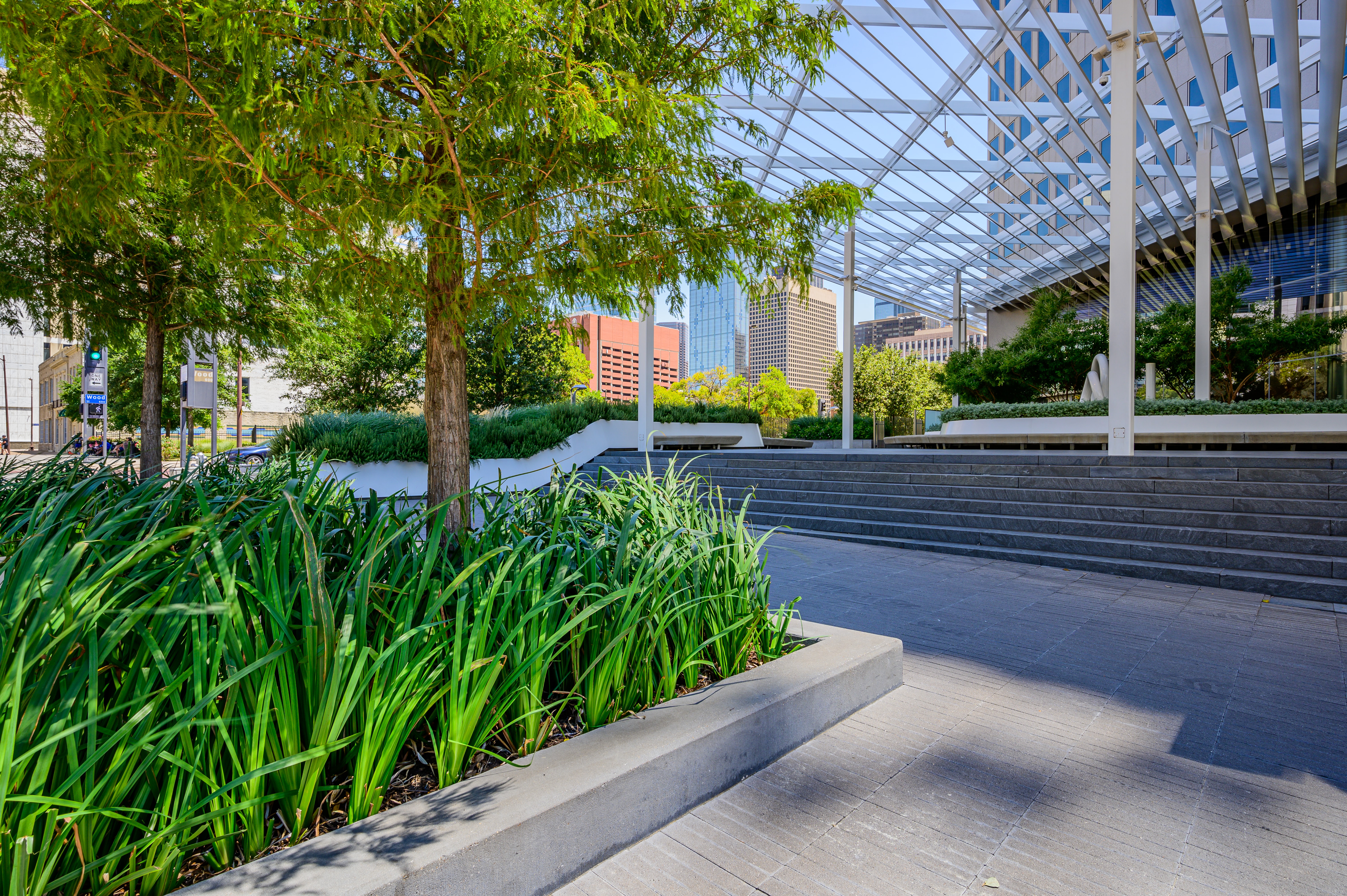 Southern Botanical | Commercial Landscaping