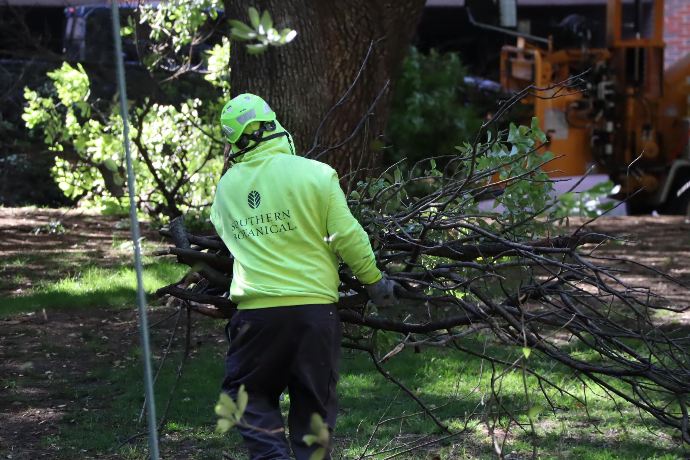 Southern Botanical | Emergency Tree Services