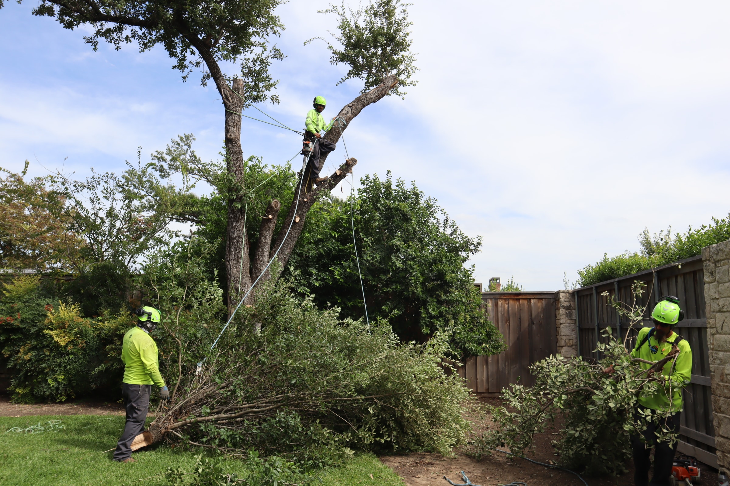 Southern Botanical | Emergency Services