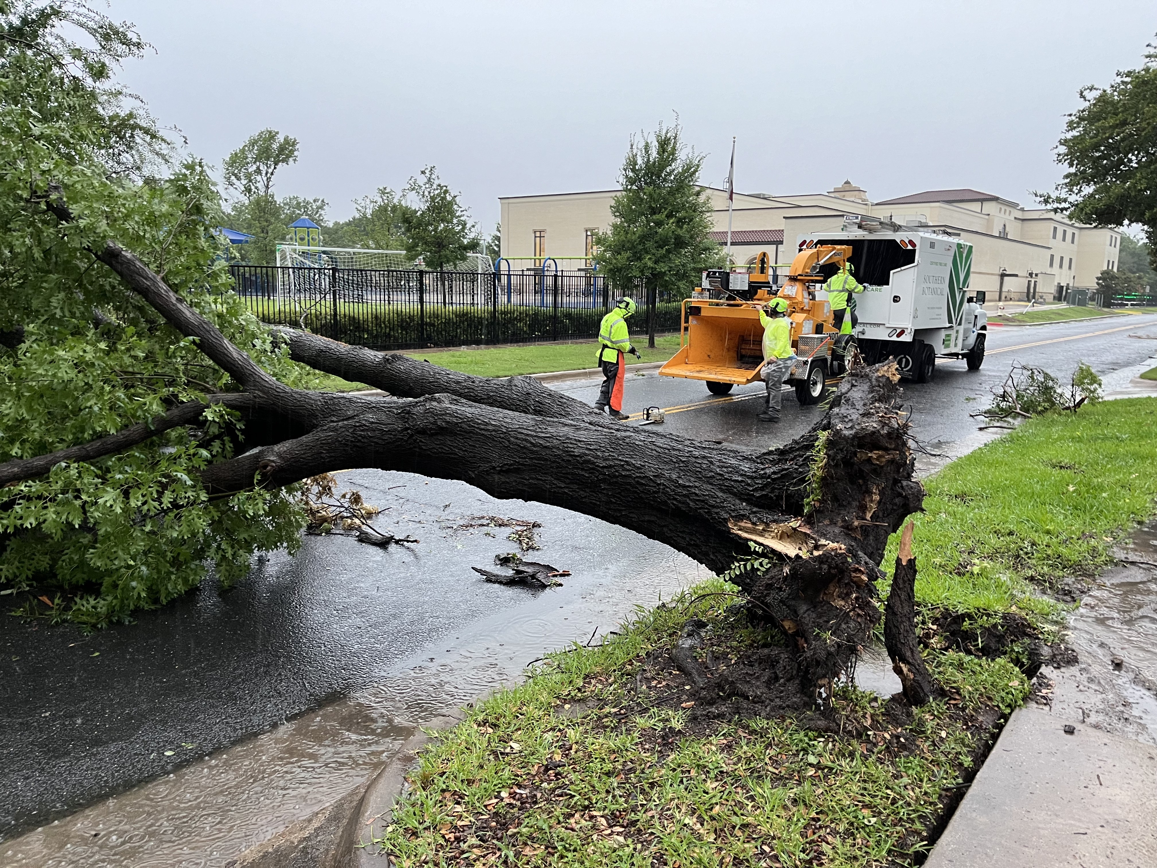 Emergency Tree Service by Southern Botanical in Dallas, Tx