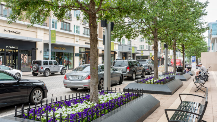 Southern Botanical | Commercial Landscaping