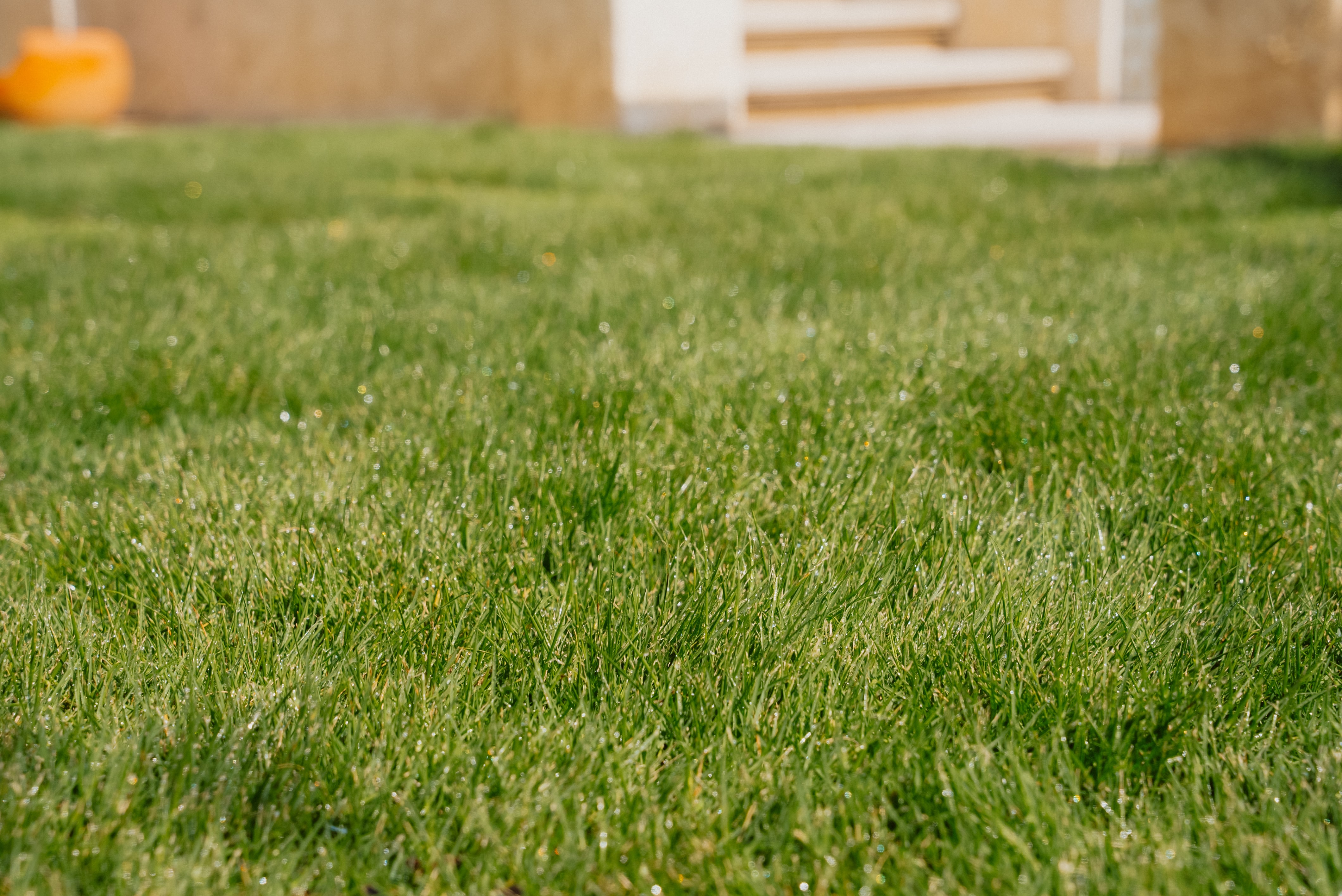 Commercial Lawn Care | Southern Botanical