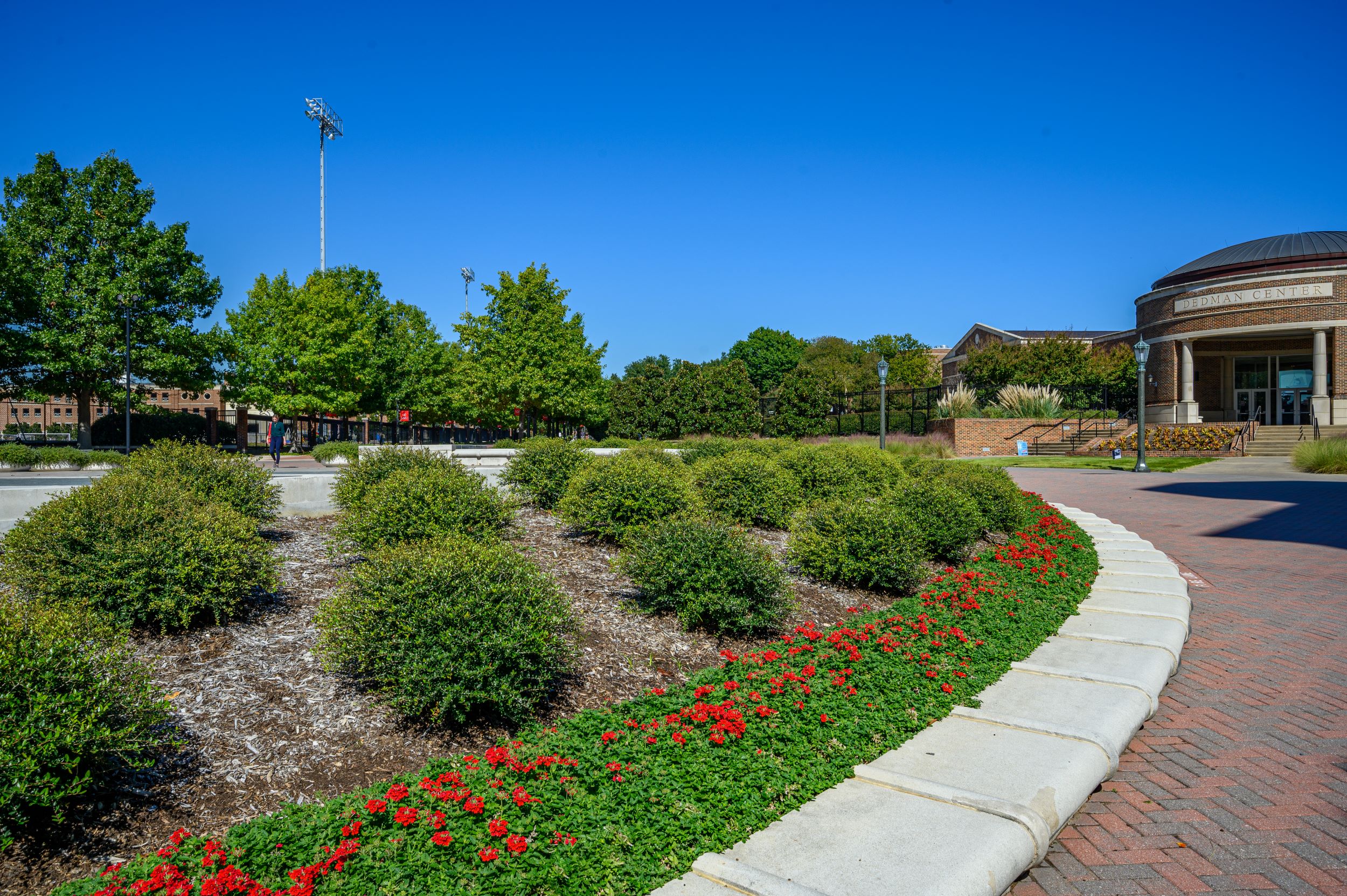 Southern Botanical | Commercial Landscaping