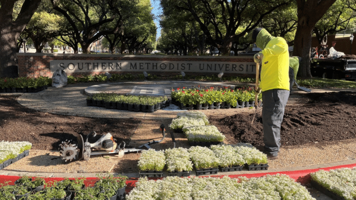 Commercial Landscaping | Southern Botanical