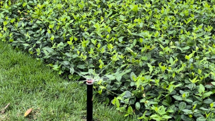 Irrigation & Sprinkler Management & Repair by Southern Botanical