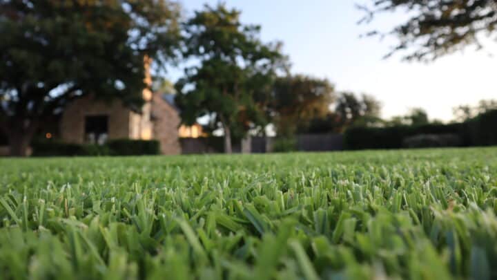 Southern Botanical lawn, garden, and irrigation maintenance in Dallas Fort Worth, Texas.