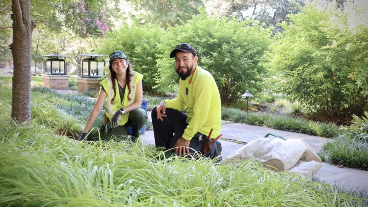 Southern Botanical Careers