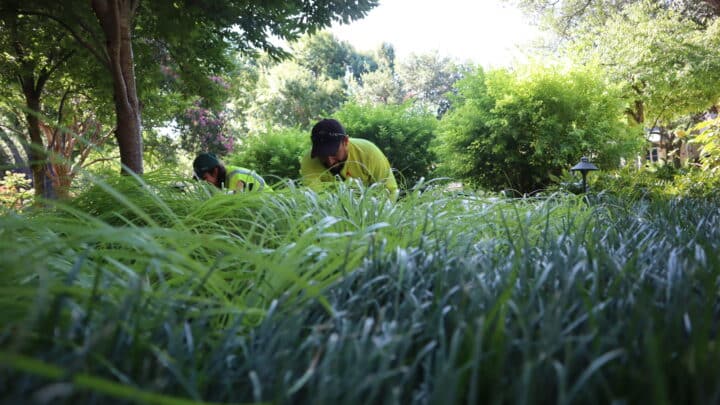 Hydretain | Southern Botanical