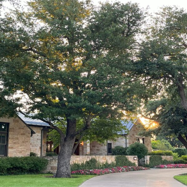 Southern Botanical Certified Arborist Tree Services