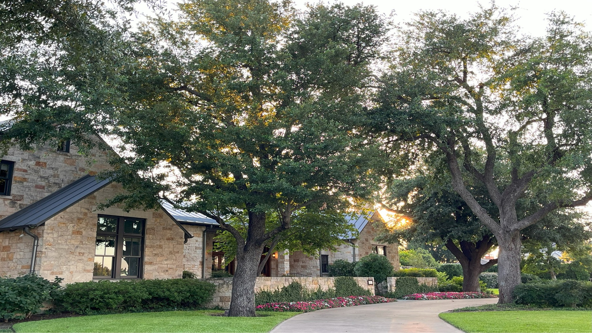 Southern Botanical Certified Arborist Tree Services