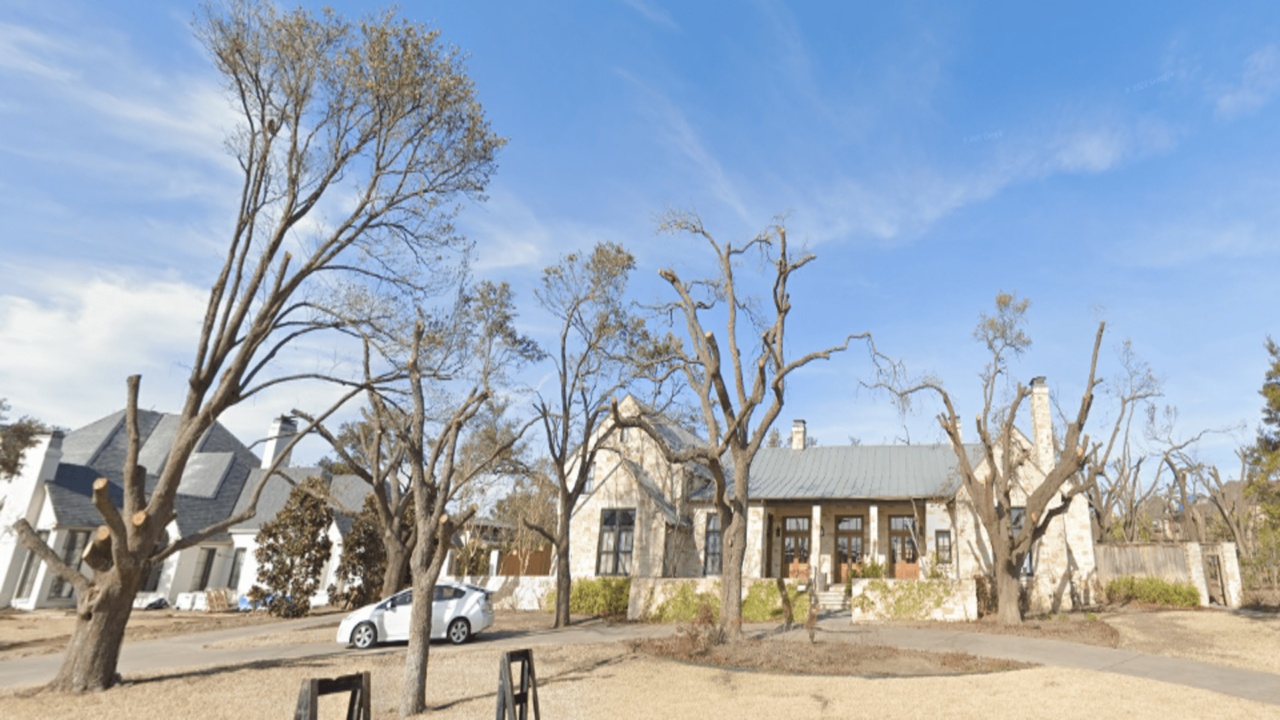 Southern Botanical Certified Arborist Tree Services