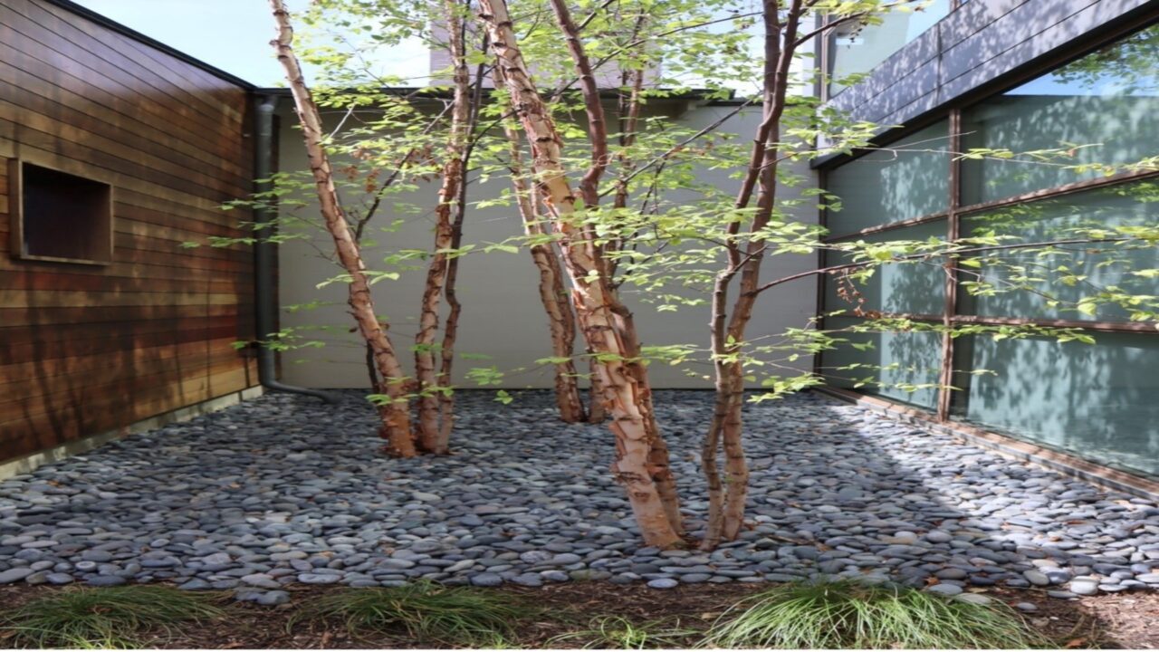 Old Preston Hollow | Dallas, Texas | Southern Botanical Landscape Maintenance