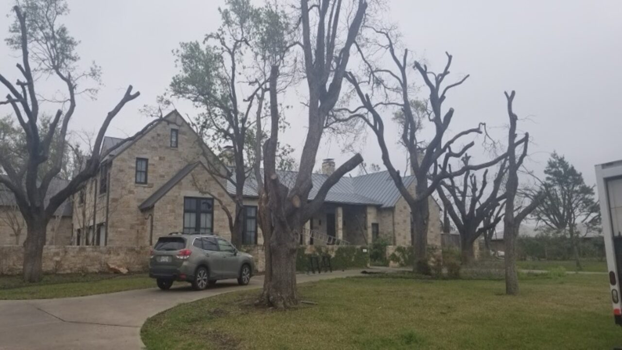 Southern Botanical Certified Arborist Tree Services