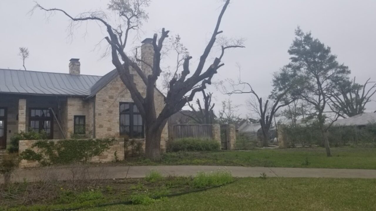 Southern Botanical Certified Arborist Tree Services