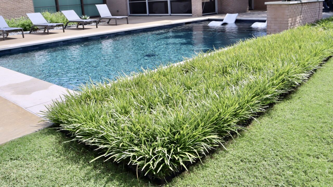 Old Preston Hollow | Dallas, Texas | Southern Botanical Landscape Maintenance