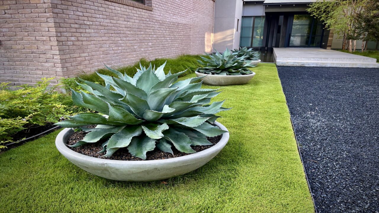 Old Preston Hollow | Dallas, Texas | Southern Botanical drought-resistant Landscape Maintenance