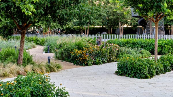 Landscape in fort worth