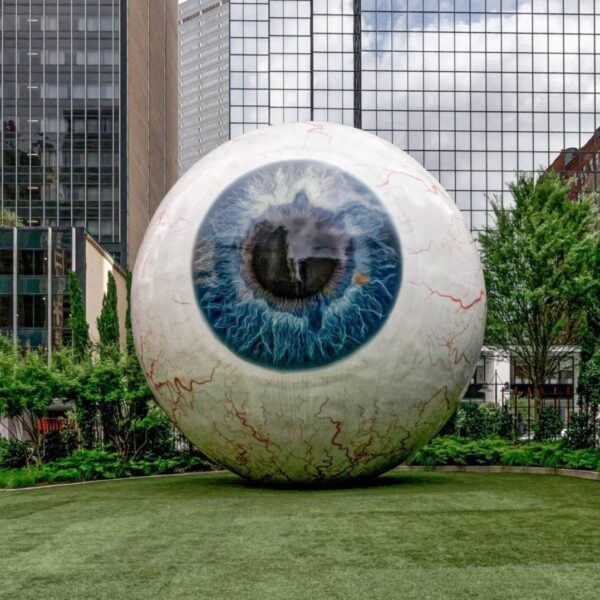 Tasset Eye landscaping by Southern Botanical