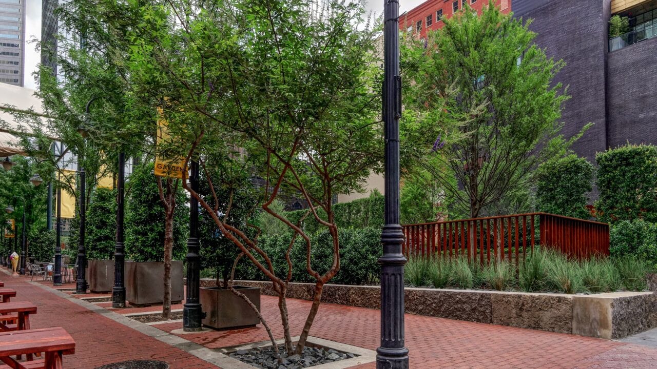 Tasset Eye landscaping by Southern Botanical