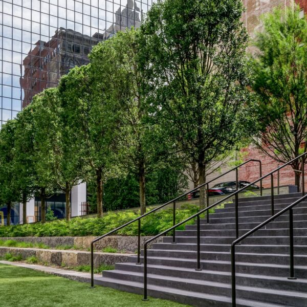 Tasset Eye landscaping by Southern Botanical with Arborists as Landscape Innovators: Creative Tree Solutions for Challenging Spaces