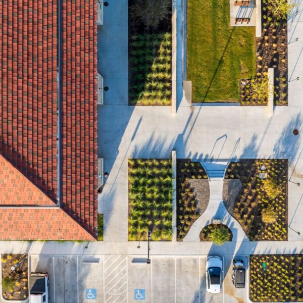 Texas Christian University | Commercial Landscaping by Southern Botanical