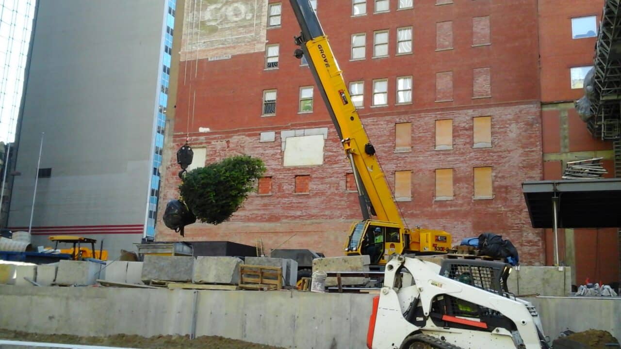 Forty Five Ten landscape by Southern Botanical