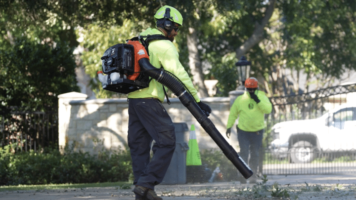 Leaf Management | Southern Botanical
