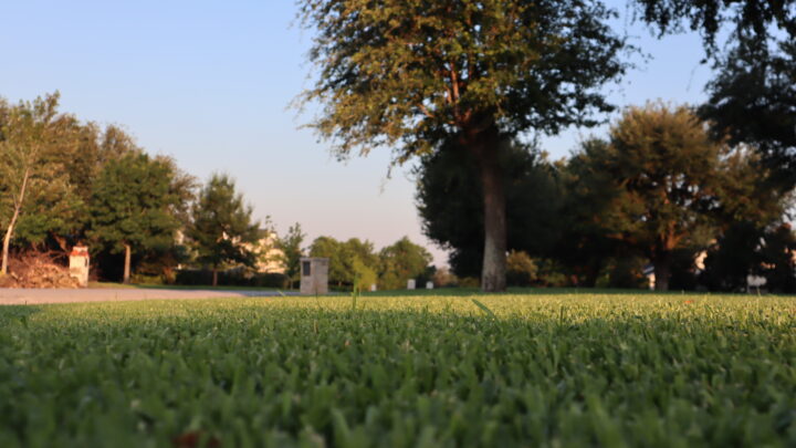 Cooler Weather landscaping in Texas