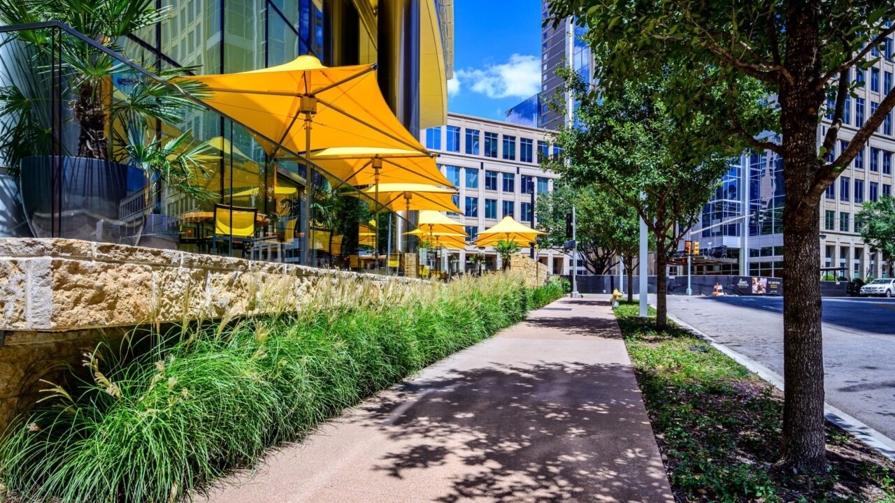 Commercial Landscaping | Southern Botanical | McKinney & Olive