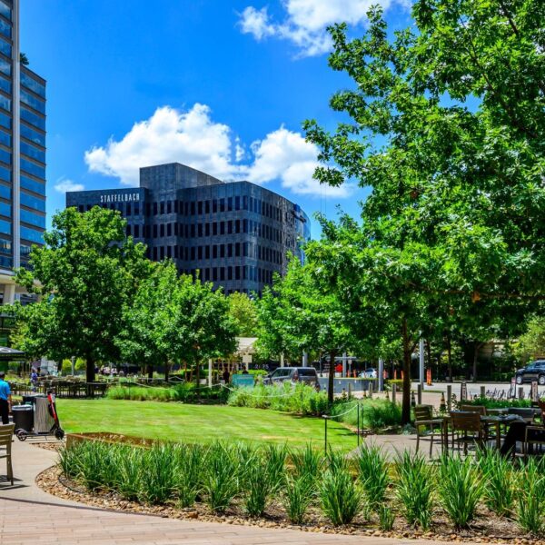 Commercial Landscaping from landscape designer| Southern Botanical | McKinney & Olive