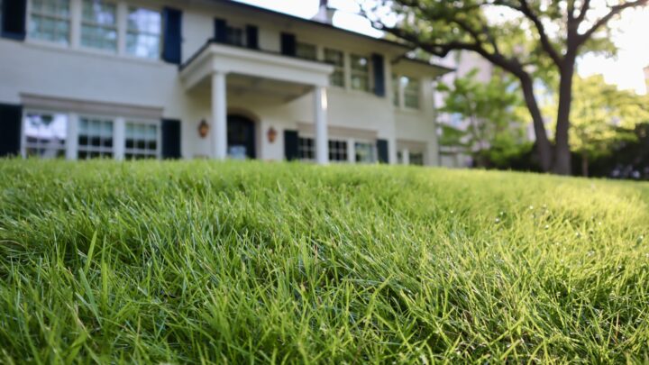 dallas lawn maintenance