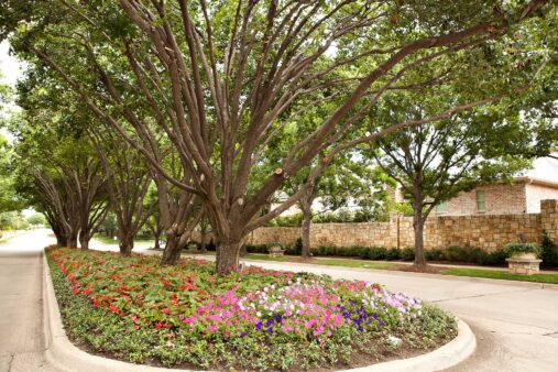 Luxury Condo Landscaping | Dallas Residential Landscaping, Southern Botanical