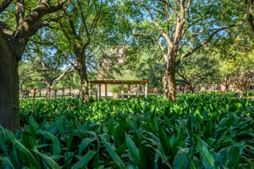 Educational Campuses | Southern Botanical