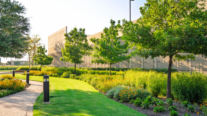 commercial landscaping in Texas