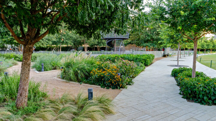 Sustainable Landscaping Practices in Dallas